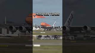 Airlines And Their Best Liveries Part Four #planes #aviation #plane #airplane #aircraft