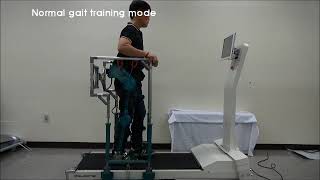 Exo-skeleton and Treadmill based Gait Rehabilitation (외골격/트레드밀 기반 보행재활기기)