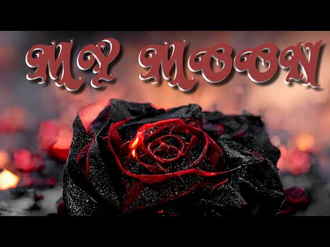 MY MOON - TERECO WIZ | THE BLUE BOOK MIXTAPE | OFFICIAL VISUALS / LYRICS | 2023