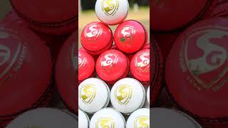 SG Cricket Balls.