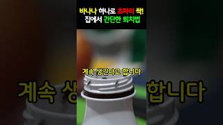 바나나 하나로 초파리 싹! 집에서 간단한 퇴치법 Get Rid of Fruit Flies with Just a Banana! Easy Home Hack