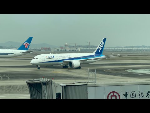 (Perfect Blue) All Nippon Airways NH924 Guangzhou (CAN) - Tokyo Haneda (HND) 12/26/2024 B787-8