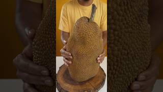 Jackfruit Gatti #asmr #shorts