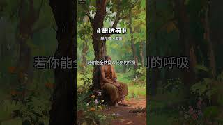 《悉达多》#人生感悟 #能量療愈 #正能量 #情感 #哲学 #好书推荐 #好书分享