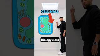 GCSE Biology - Cell Specialisation Rap