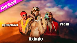 Tsedi X Lj michael ft. Oxlade | ፀዲ X ልጅ ሚካኤል ft. Oxlade | Mashup By Vibe Tv
