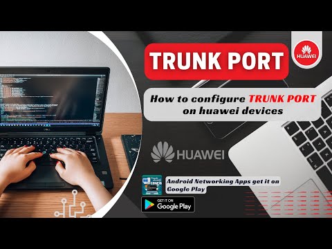 How to Configure a Trunk Port on Huawei Switch | Step-by-Step Guide | Network Handbook