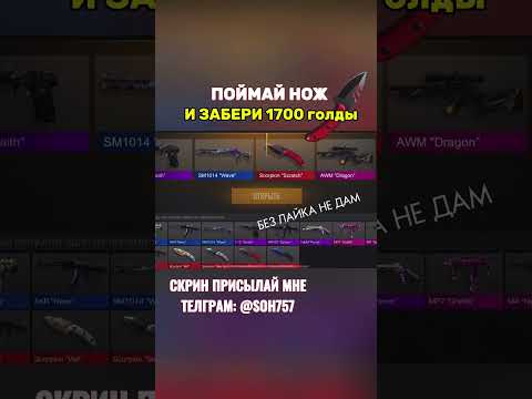 поймай