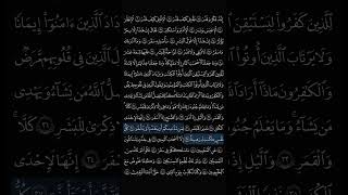 Feel the Peace of the Quran | Arabic & English Translation#QuranTranslation #Islam #QuranShorts #USA