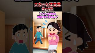 夜中に母からハイテンションな電話がかかってきた→「妹が壊れた」と言っているんだけど!?【2chスカッと】 #2ch