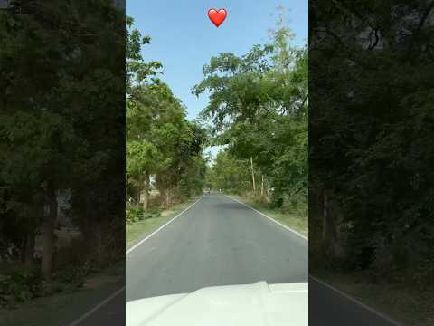 Photography Video Shot || Whatshap Status 4k #shorts #shortvideo #subscribe #photography #viralshort