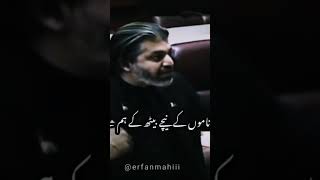 only for pti lovers #alimuhammadkhanatitudestatus #alimuhammadkhanspeech #imrankhan
