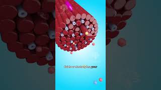 Why Do We Get Muscle Cramps 😫 #shorts #viralvideo #Creativelearning3d
