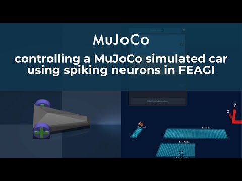 Controlling a MuJoCo Simulated Car Using Spiking Neurons in FEAGI
