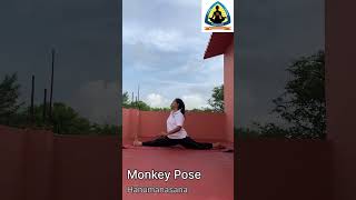 Hanumanasana / Monkey Pose🐵 #hanumanasana #hanumanasanavariation #monkeypose🐒 #sathyamyogacbe