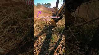2:50 of Cutting Action – Check Out That Wood Stack! 💪🪵 #don #1minutevideo #actioncamerareview