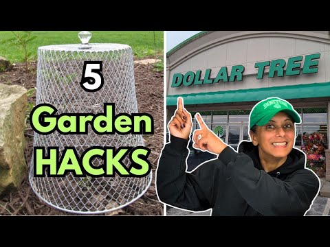 5 Garden Hacks At Dollar Tree || Budget Gardening