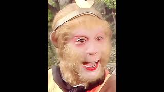 常常有很多可爱神态的小猴子~#journeytothewest #wukong #西游记 #西遊記 #孙悟空 #孫悟空