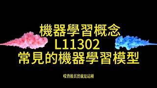 人工智慧基礎概論 L11302 常見的機器學習模型  AI.ESG.數位轉型顧問 沈重宗