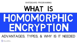 What is Homomorphic Encryption Explained | Paillier Cryptosystem | PHE | SHE | FHE