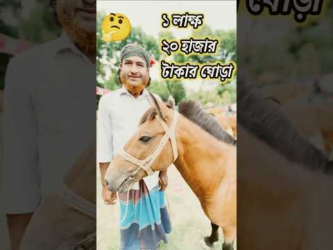 ১ লাক্ষ ২০ হাজার টাকার ঘোড়া , একে দিয়ে নাকি সব কাজ করানো যায়#ঘোড়ারহাট #ঘোড়া #horse #ইন্ডিয়ান