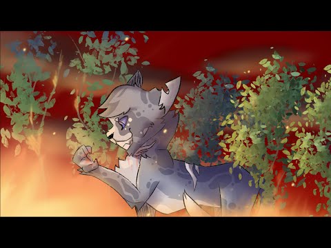 Ashfur ll SPEEDPAINT