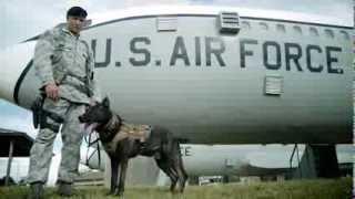 SSgt James Evatt, Security Forces Specialist: Military Working Dog Handler