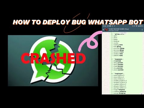 Build WhatsApp Bot || build your own whatsapp bot