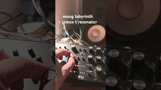 moog labyrinth and jomox t resonator mk II #electronicmusic #synth #ambient