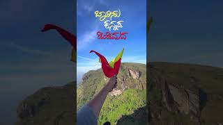 #kannadarajyothsava #kannadanadu #kannadigaru #kannadiga #november #karnataka