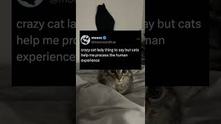 Crazy cat lady things
