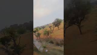 ye konsa Gau hai ??🧐🧐#shorts #trendingshorts #viral