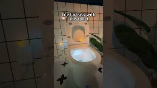 Experience Clean Like Never Before with HOROW T38 Smart Bidet Toilets #toilet #bathroom #shorts