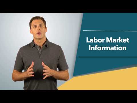 3 - Labor Market Information