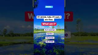 Riddle : what am I?  #riddle #puzzle