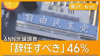 28日午後に自民両院議員懇談会　石破総理続投は理解されるのか　大荒れの展開も【知ってもっと】【グッド！モーニング】(2025年7月28日)