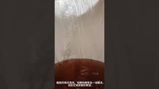 #靖江#养生#泡澡#艾灸#夏日养生局  当代年轻人的生活方式，又摆烂又养生⚖️生活可以混乱，养生不能间断！