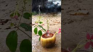 Taal se videography with mobile 📲👀 #shorts #youtubeshorts #trending #viraltopic