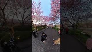 名花之里
