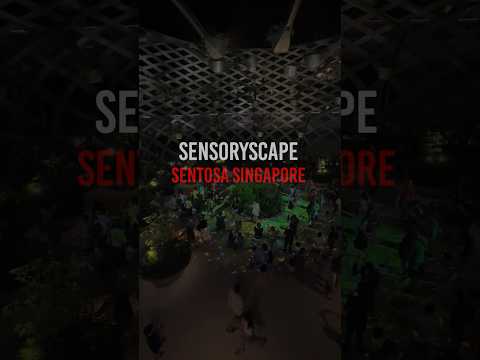 #sensoryscape #sensoryscapesentosa #SingaporeTravel #VisitSingapore #SingaporeExplorer