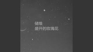 雨在轻轻追