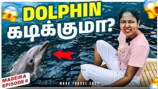 🐬Dolphin watching 😱 in Portugal🇵🇹| Madeira series episode 06 #maketraveleasy #tamiltravelvlogger