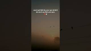 #radheradhe #motivation #thoughts #thoughtoftheday #virulshortsvideo #dosubscribeformore