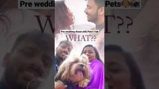 Pre-wedding Photoshoot poses with Pets #sniffstories #viral #doglovers #happypets #petphotography