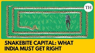 Snakebite capital: What India must get right