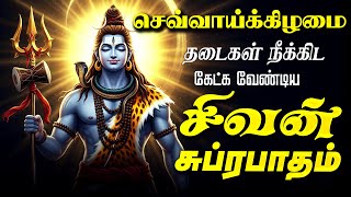 🔴LIVE SONGS | திங்கட்கிழமை கேட்க வேண்டிய சிவன் சுப்ரபாதம் Sivan Suprabatham Tamil Shivan Suprabadham