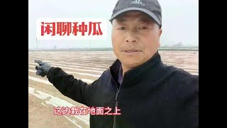 种30亩西瓜可能赚钱，种300亩就会赔钱，这是为什么？ #西瓜种植人 #田间地头走一走#生活#vlog