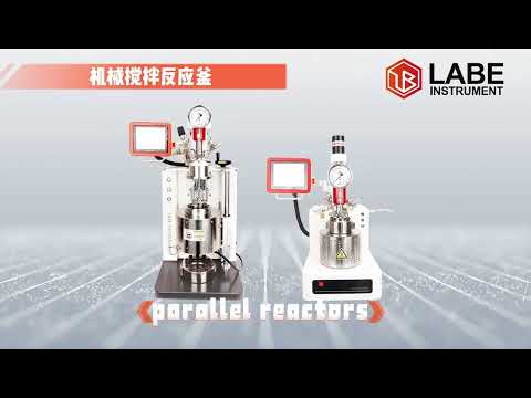 Laboratory reactor and reactor system