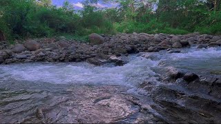 Gentle River Vibes for a Calm Night Routine, Study Productivity, Serenity, Sleep & Stress Relief
