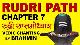 Rudri Path Chapter 7 | रुद्री सप्तमोध्याय | Rudrabhishek (Ashtadhyayee) Vedic Chanting by Brahmin